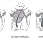 default-imageset-727-image-item